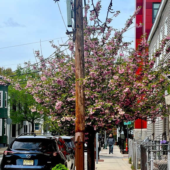 Meet your Posher, Natacha - Picture 1 of 1